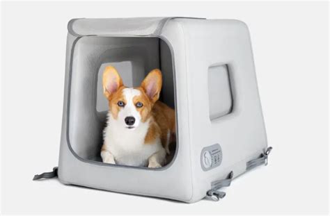 This inflatable dog crate makes traveling with pets so much easier